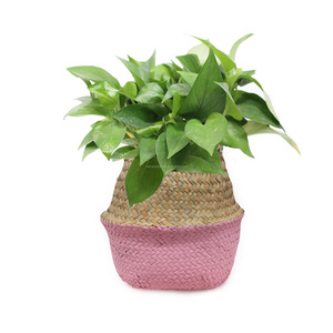 9" Pink Planter Basket Pot Woven Boho Seagrass Belly Rattan Basket With Handle for Storage Laundry