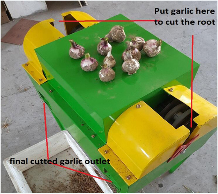 OCQ-1000A Automatic Small Fresh Green Garlic Root Cutting Machine Garlic Stem Leaf Cutter