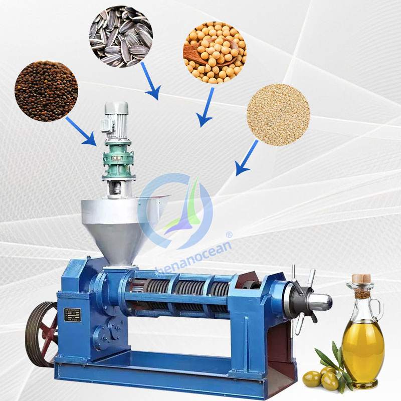 Cocoa Butter Oil Extract Cold/hot 20 Kilo Automatic Olive Oil Press Machine for Cooking Oil