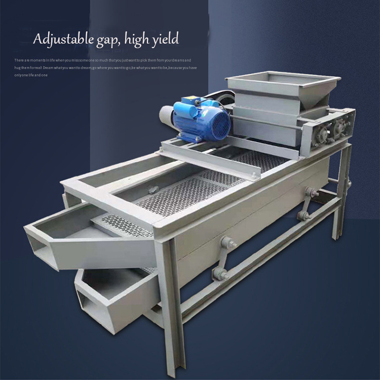 Automatic black walnut Palm Kernel Cracking Separating Machine Shell Cracker Almond Husking Breaking Machine