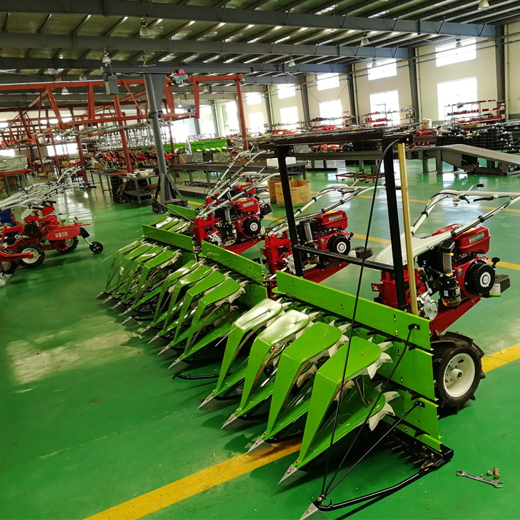 Tractor Mounted Mini Small Sweet Corn Silage Forage Maize Wheat Rice Combine Harvester Price in Indonesia