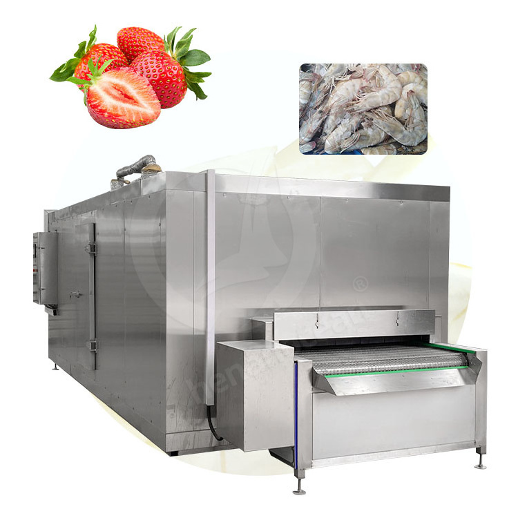 OCEAN Ice Cream Small Iqf Cryogenic Instant Liquid Nitrogen Freezer Tunnel Shock Freeze Equipment Machine