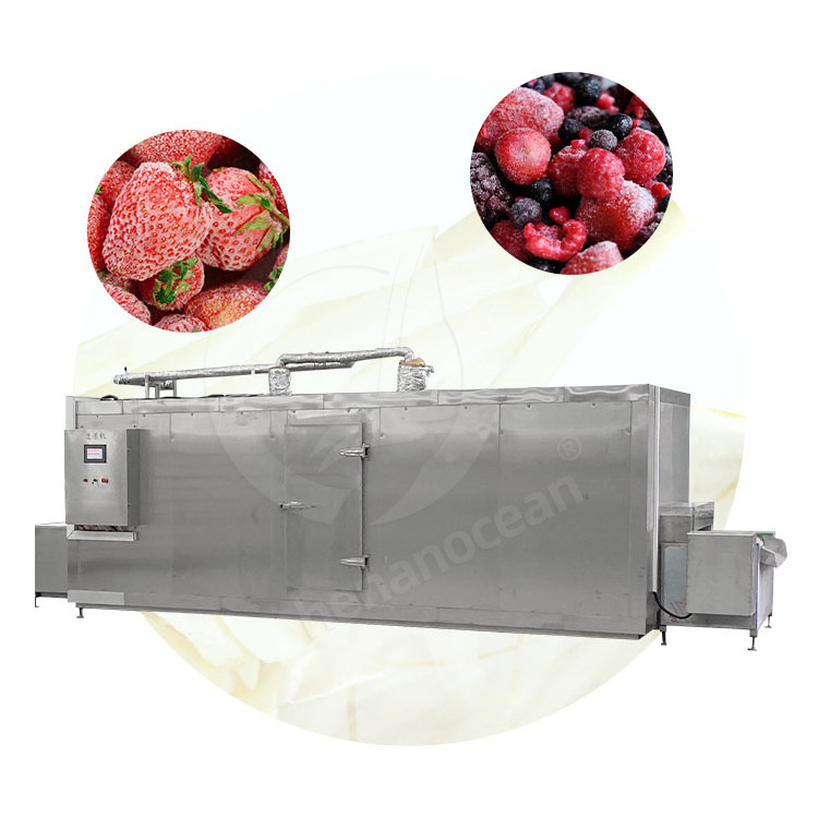 OCEAN Ice Cream Small Iqf Cryogenic Instant Liquid Nitrogen Freezer Tunnel Shock Freeze Equipment Machine