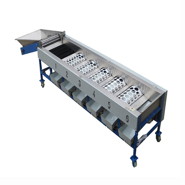 OC-FJ6 Industrial Orange Mango Apple Avocado Fresh Lemon Citrus Fruit Grading Sorter Washing Sorting Machine