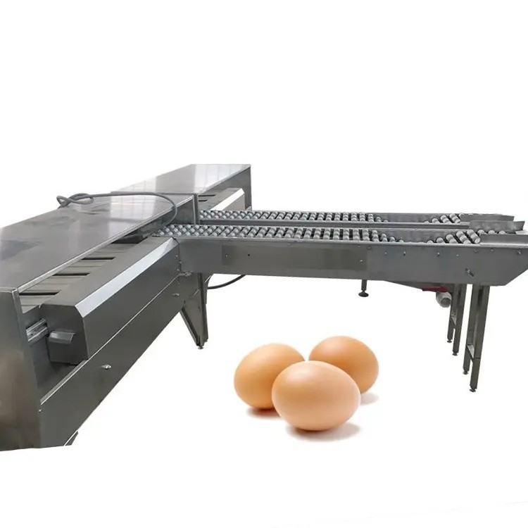 Food Industry Automatic Small Chicken Egg Sorter Grader Egg Weight Grading Egg Sorting Machine By Weight