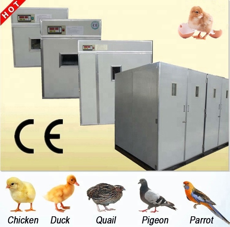 OC-4 hot sale multi-purpose full automatic India Parrot Chicken 96 Poultry Egg Incubator for sale