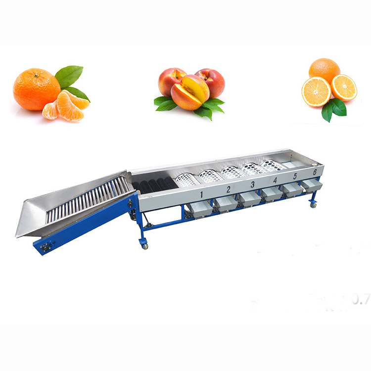 OC-FJ6 Industrial Orange Mango Apple Avocado Fresh Lemon Citrus Fruit Grading Sorter Washing Sorting Machine