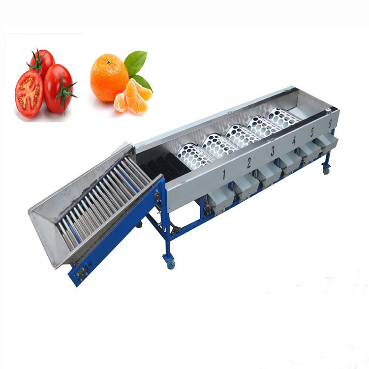 OC-FJ6 Industrial Orange Mango Apple Avocado Fresh Lemon Citrus Fruit Grading Sorter Washing Sorting Machine