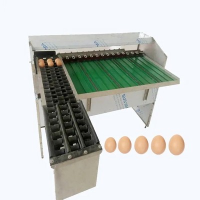 Food Industry Automatic Small Chicken Egg Sorter Grader Egg Weight Grading Egg Sorting Machine By Weight