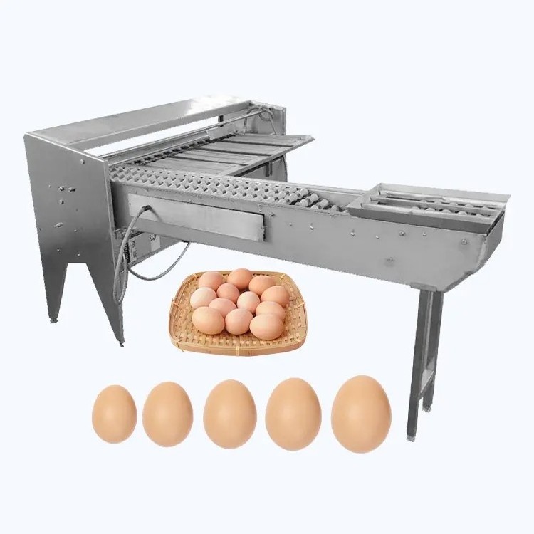 Food Industry Automatic Small Chicken Egg Sorter Grader Egg Weight Grading Egg Sorting Machine By Weight