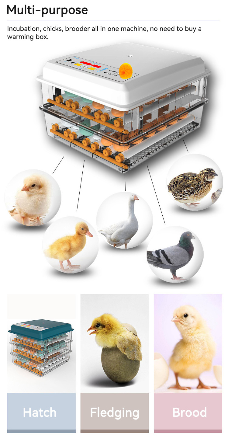 Automatic Poultry Egg Incubator With 98% Hatching Rate Chicken Quail Eggs Hatcher For Sale