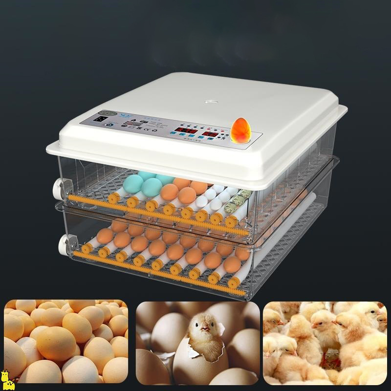 Automatic Poultry Egg Incubator With 98% Hatching Rate Chicken Quail Eggs Hatcher For Sale