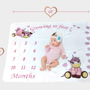 Unicorn Nursery Baby Shower Gifts Baby Blanket Newborn Monthly Anniversary Milestone Fleece Blanket