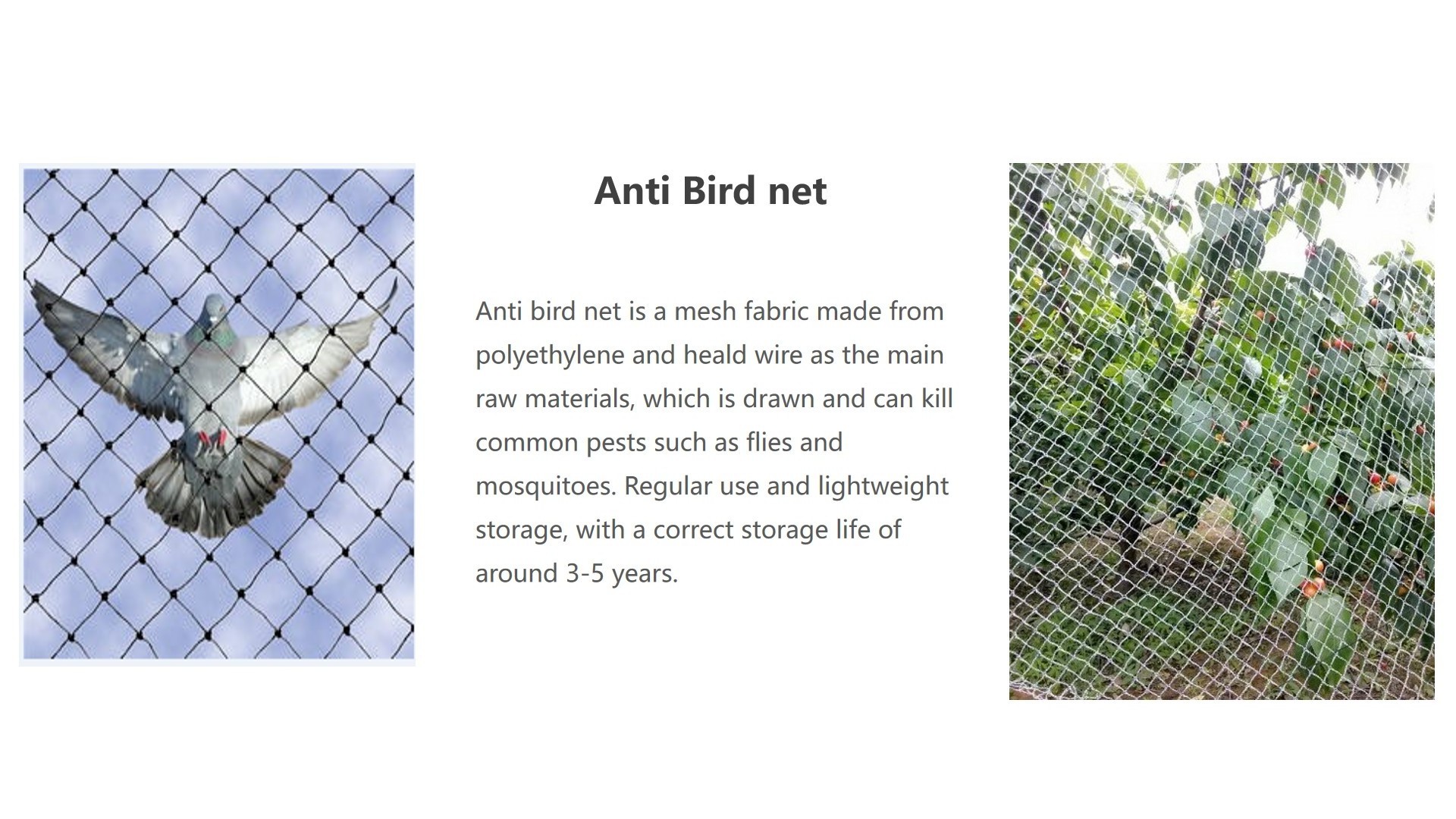 Plastic Agriculture Knitted Anti Bird Mesh Trapping Birds Anti Bird Net for Garden