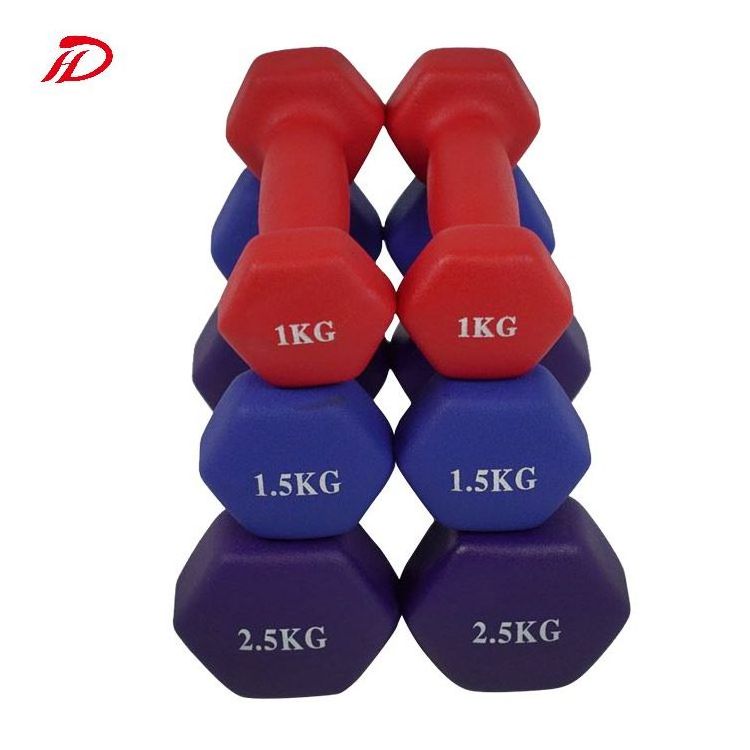 Portable Family Dumbbell Set 1-10kg 1kg Increment Iron Fitness Equipment for Exercise for Men and Women