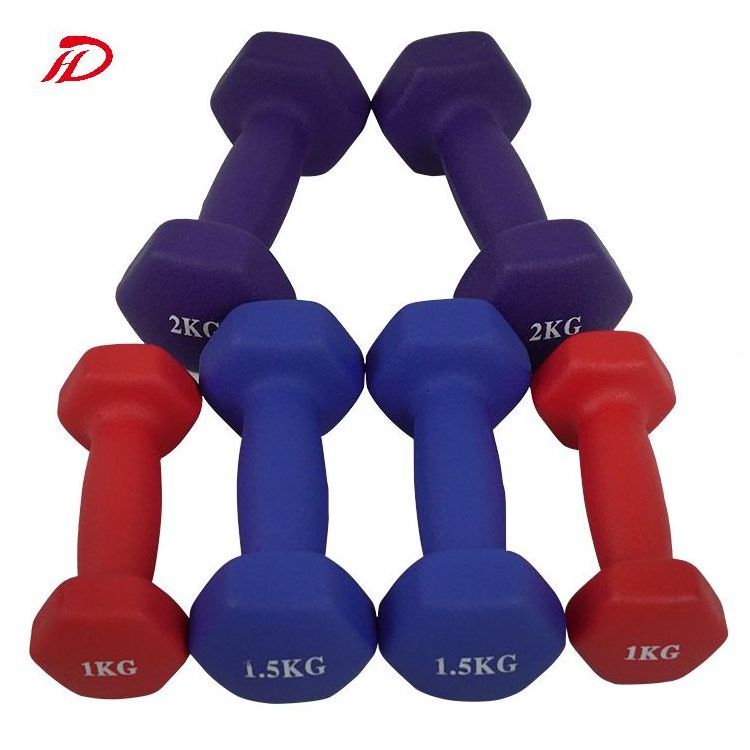 Portable Family Dumbbell Set 1-10kg 1kg Increment Iron Fitness Equipment for Exercise for Men and Women