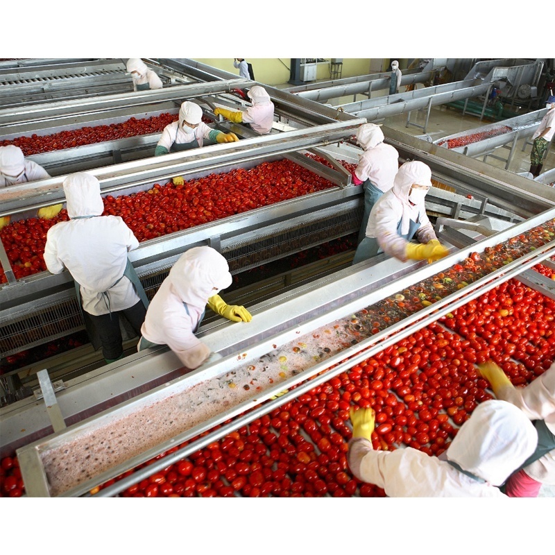 Automatic concentrated tomato paste production line machines tomato concentrate processing concentration plant machine price