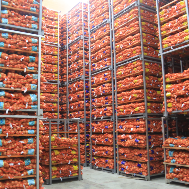 India & Egypt Cold Room Storage for Onion Durable Onion Cold Storage