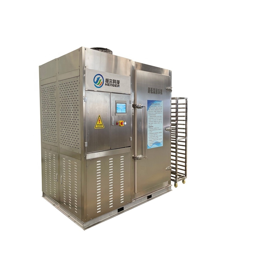 shock freezer blast chiller and ultra low temperature deep freezer for seafood industry