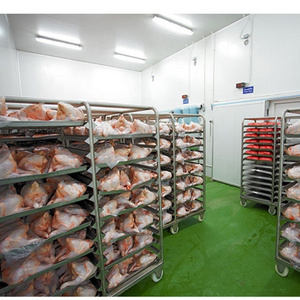 Quick freezing cold storage blast freezer for meat  frozen chicken cold room