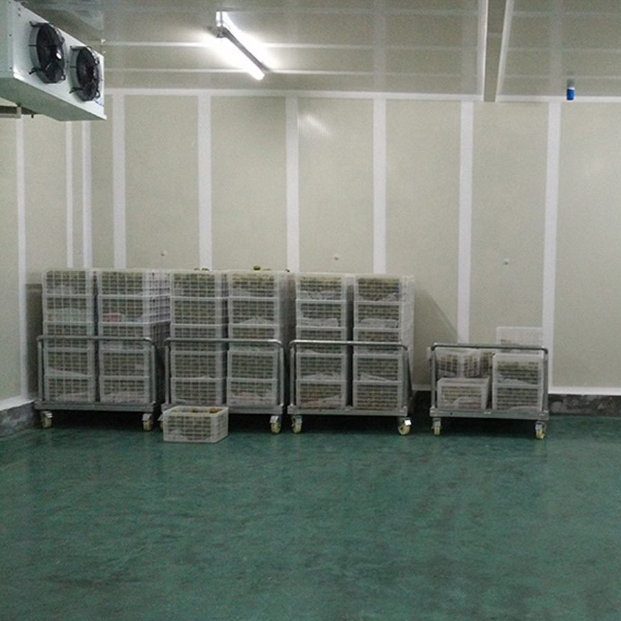 Factory Directly Cold Room Chicken Cold Room Chiller