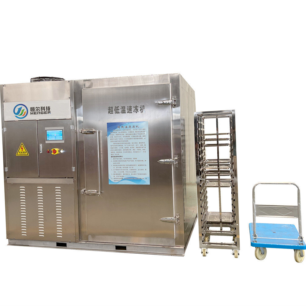 shock freezer blast chiller and ultra low temperature deep freezer for seafood industry