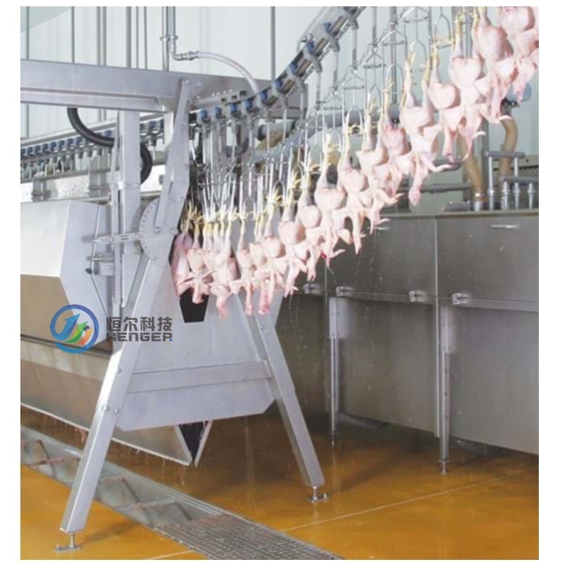 Chicken Slaughtering Machine Boiler Chicken Slaughtering Shackles Essential Slaughtering Equipment for Poultry Farming