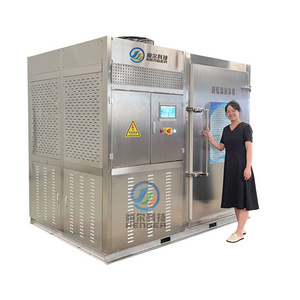 shock freezer blast chiller and ultra low temperature deep freezer for seafood industry