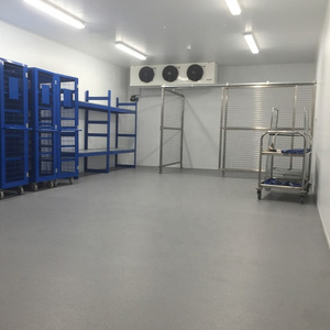 New Energy-Saving Cold Storage Room with  Compressor for Meat Fish Poultry Vegetable Fruit Beverage Storage