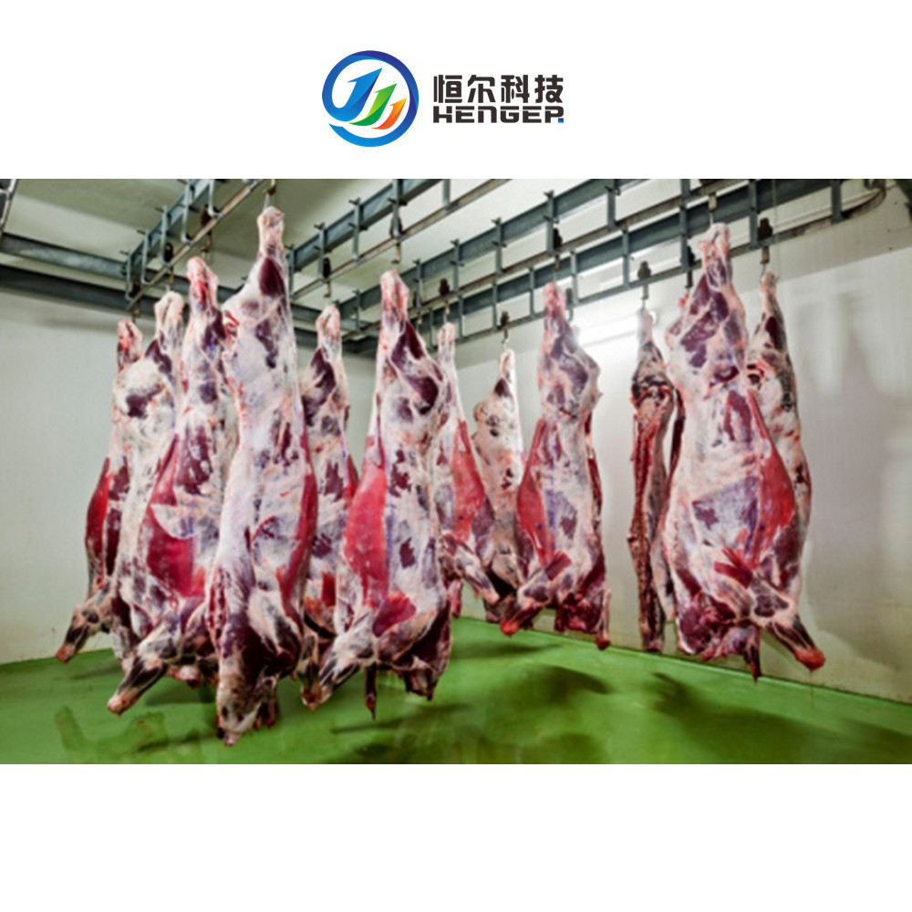 Cattle Slaughterhouse cow slaughter machine and pig scalding and dehair machine