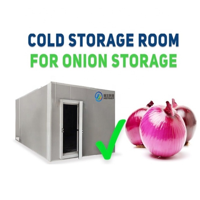 India & Egypt Cold Room Storage for Onion Durable Onion Cold Storage