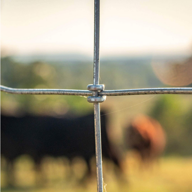 high tensile Galvanized fixed knot wire farm mesh field grassland hinge joint fence roll for goat deer sheep cow price