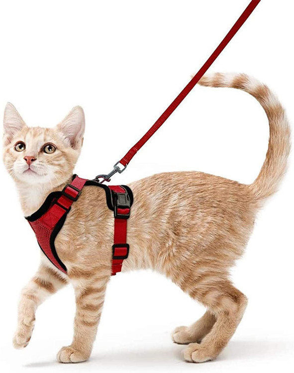 Cat Harness and Leash Set Breathable Escape Proof Kitten Adjustable Cat Vest Harness with Reflective Strip Safety Wire Pet Harne