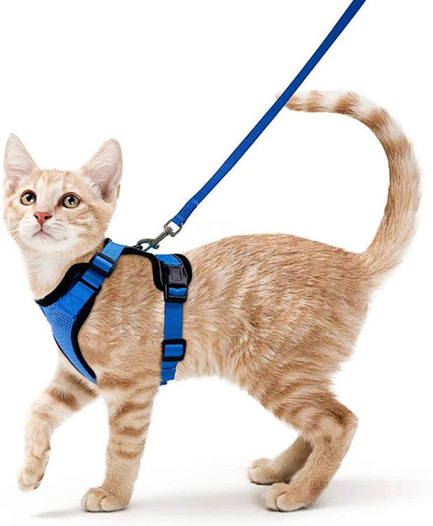 Cat Harness and Leash Set Breathable Escape Proof Kitten Adjustable Cat Vest Harness with Reflective Strip Safety Wire Pet Harne