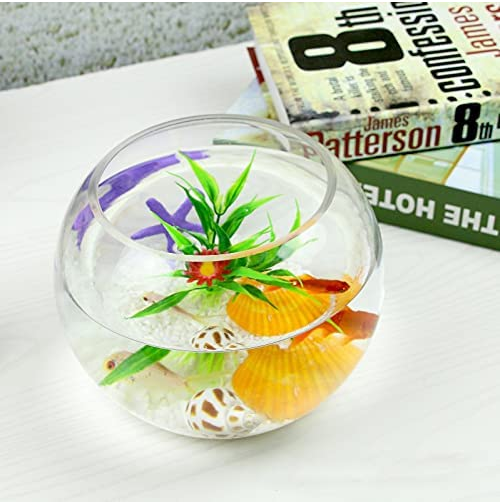 6 Inch Clear Bubble Bowl Glass Vase Round Glass Bowl Bubble Vase for Fish Flowers Glass Fish Bowls