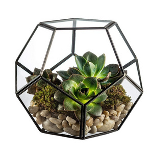 Modern Indoor Plant Terrarium Black Geometric Container Half Sphere Glass Terrarium Desktop Planter For Air plant and Home Decor