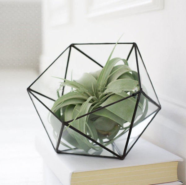 Modern Indoor Plant Terrarium Black Geometric Container Half Sphere Glass Terrarium Desktop Planter For Air plant and Home Decor