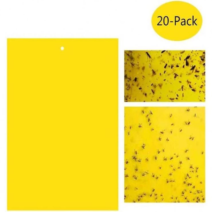 Strong Flies Traps Bugs Sticky Board Catching Aphid Insects Killer Pest Control Whitefly Thrip Leafminer Glue Sticker 2 Year