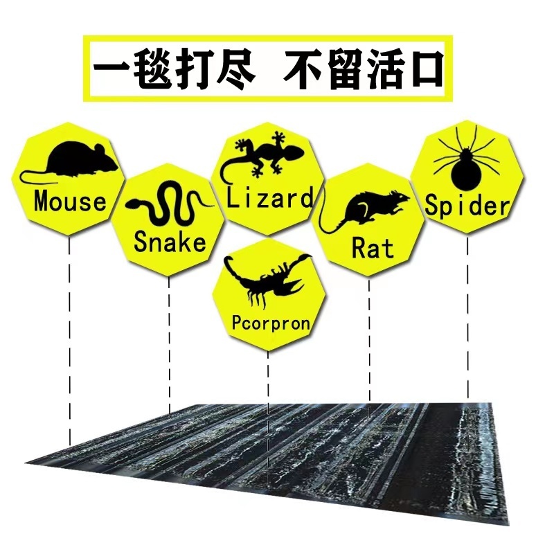 Low Price Live Mouse Killer Trap Cage