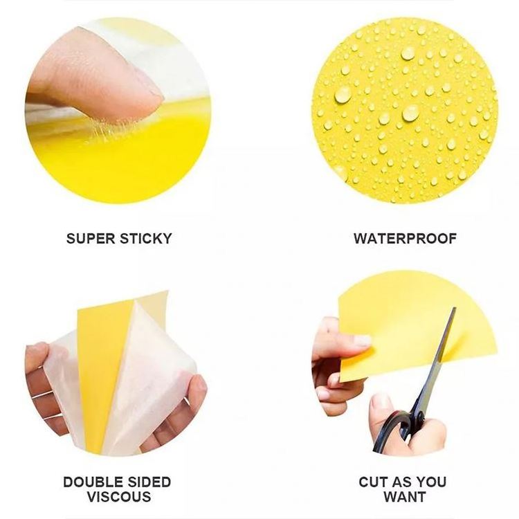 Fruit Fly Gnat Trap Hot Disposable Glue Trappers Indoor Outdoor Use Insect Catcher Dual-sided Yellow Sticky Trap