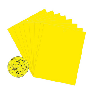 Strong Flies Traps Bugs Sticky Board Catching Aphid Insects Killer Pest Control Whitefly Thrip Leafminer Glue Sticker 2 Year