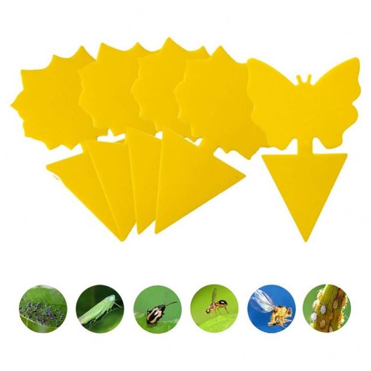 Fruit Fly Gnat Trap Hot Disposable Glue Trappers Indoor Outdoor Use Insect Catcher Dual-sided Yellow Sticky Trap