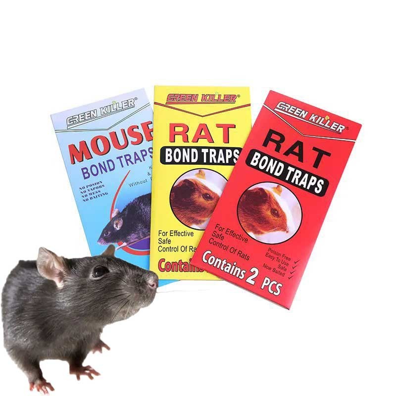 mouse rat glue trap manufacturer customize mouse rat glue board mouse rat glue bit customization ODM OEM