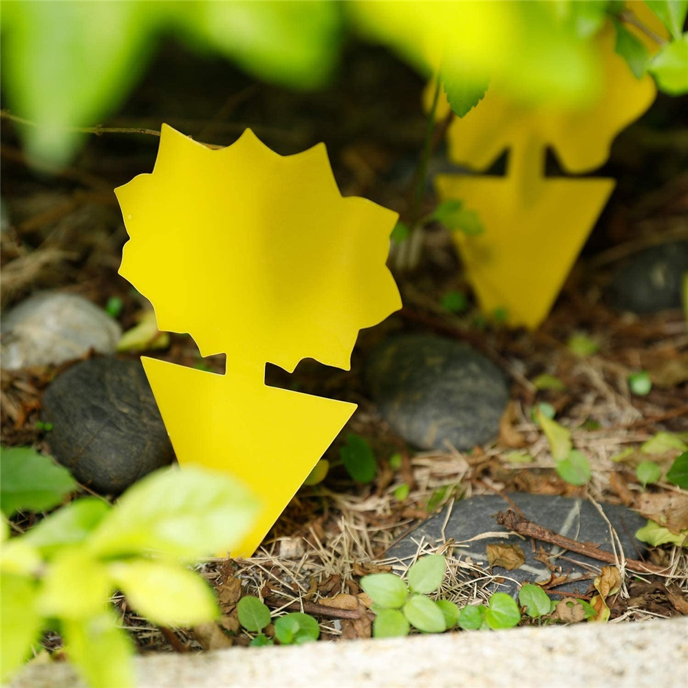 Promotional Various Durable Using Yellow Insect Light Glue Sticky Traps For Flies