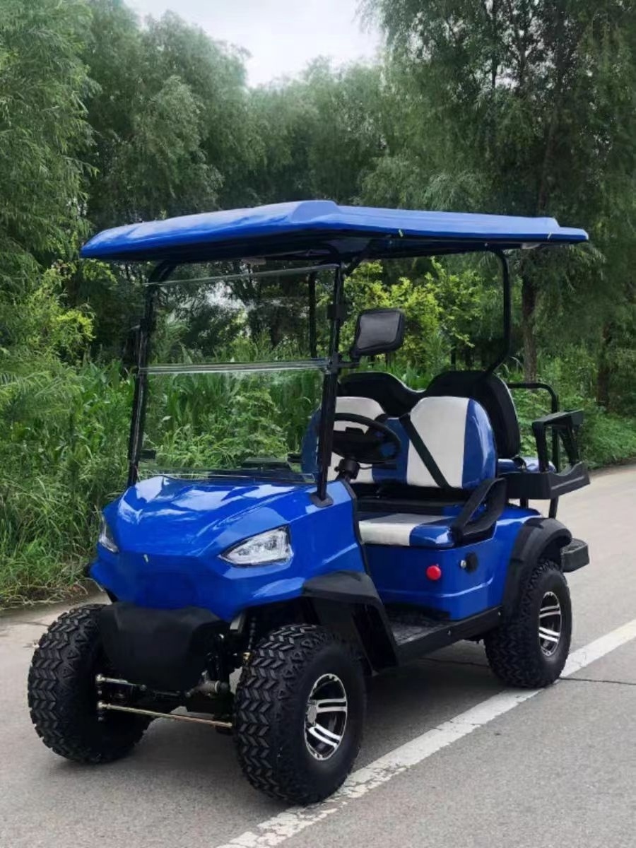 Tao Motor 48V 4 Wheel 4 Seater Golf Carts 2023 New Chinese Travel Electric Grocery Cart Electric Scooters 3 - 4 4 People 48V