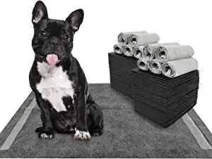 Training Pads For Dog And Puppy Premium Disposable Pet Pee Pads Refined Bamboo Charcoal Has Ultra Absorbent Leak-proof Pet Und