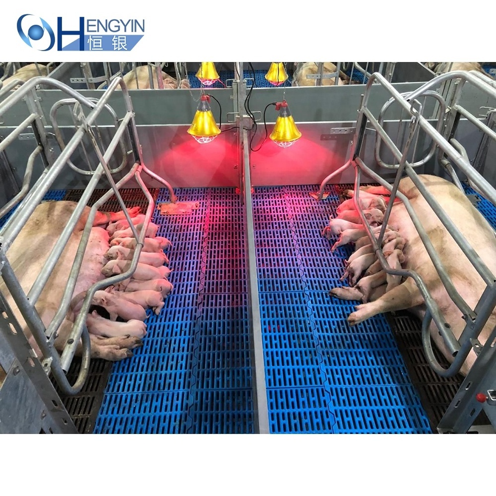 Pig farming equipment Animal cages used in pig farm farrowing crates /pen maternity cage for sow