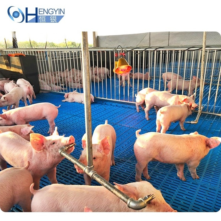 whole sale price ISO certificate galvanized pig farrowing crate pig pen piggery equipment pig farm