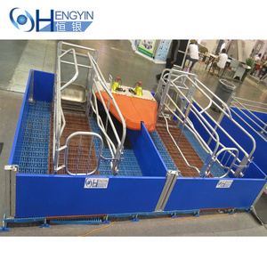 pig farm equipment Farrowing crate pig cage farrowing pen Hot dip galvanizing cage