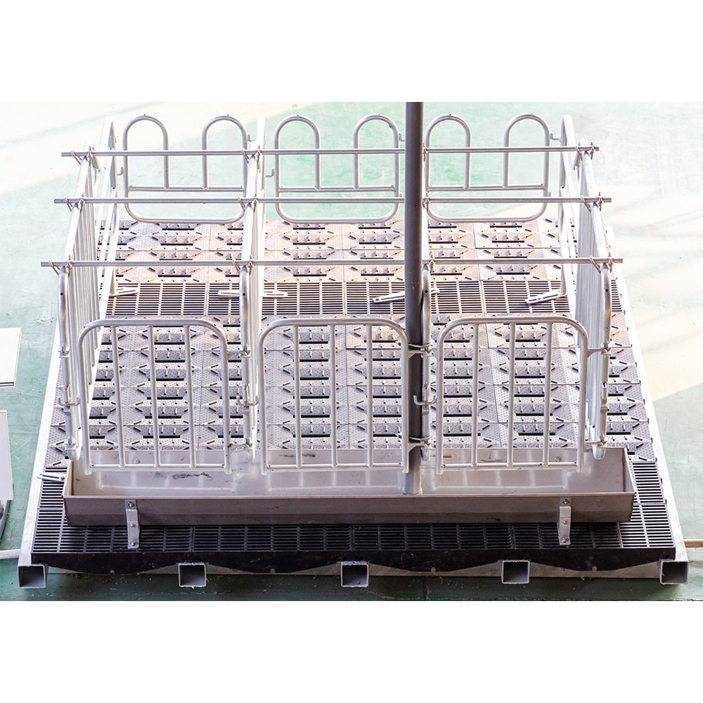 Factory Pig Farming Equipment Pig Pen Sow Gestation Crate for Sale